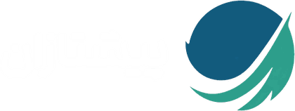 پیشتازان توسعه عصر نوین