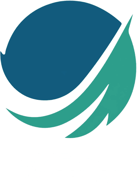 پیشتازان توسعه عصر نوین